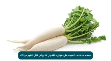 صحة مذهلة.. تعرف على فوائد الفجل الأبيض التي تغير حياتك